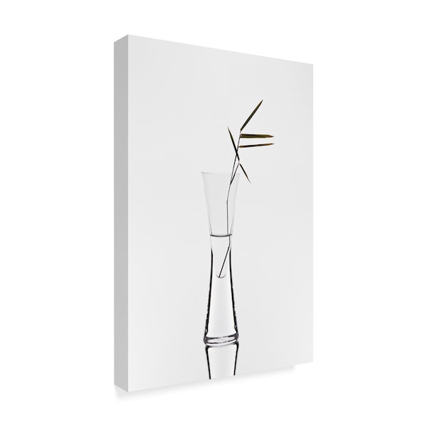 Christian Pabst 'Bamboo Vase' Canvas Art,22x32